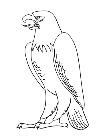 Bald Eagle From Bald Eagle Coloring Page